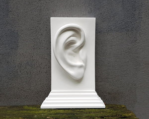 Anatomy Bookends "Ears". - Atelier Article
