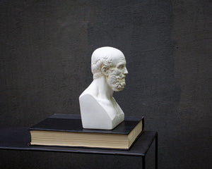 Aristotle Bust Sculpture Single Plaster Bookend with Classic Greek Design - Atelier Article