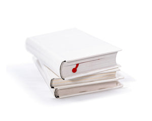 Red Metal Bookmark "Charming Centipede" in the Book - Atelier Article