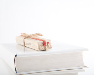 Bookmark "Ladybird". - Atelier Article