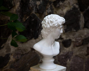 Bust of David - Atelier Article