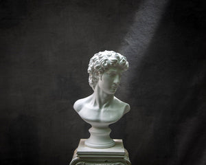 Bust of David - Atelier Article