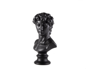 Bust of David - Atelier Article