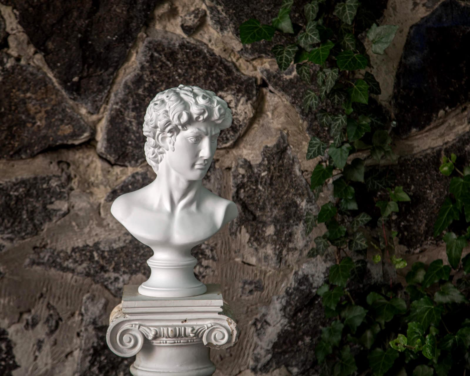 Bust of David - Atelier Article
