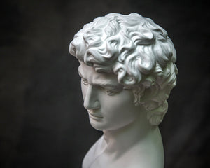 Bust of David - Atelier Article