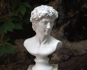 Bust of David - Atelier Article