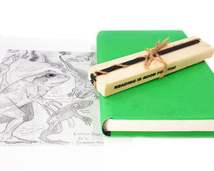Cryptid Bookmark Frogman. - Atelier Article