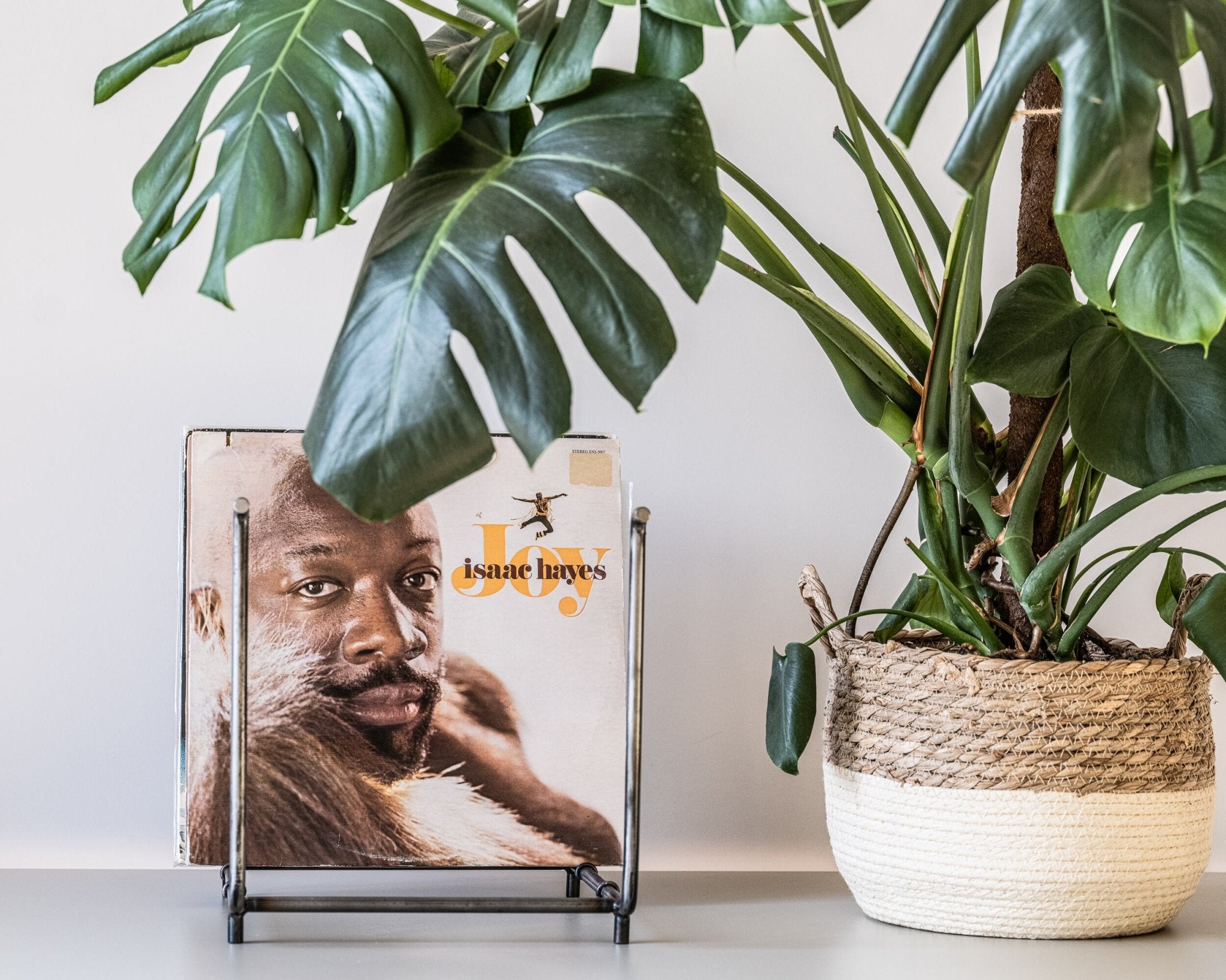 Vinyl record rack made of raw steel, holding the album “Joy” by Isaac Hayes, displayed next to a large monstera plant in a woven basket pot on a light surface.