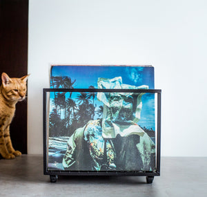 Black metal vinyl record holder displaying colorful album covers, placed on a concrete floor with a curious orange tabby cat peeking in from the side.