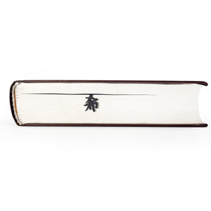 Black metal bookmark with a Zen kanji symbol visible along the page edges of a closed book.