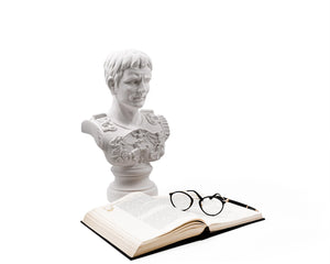 Plaster Bust of a Roman Emperor Julius Caesar - Atelier Article