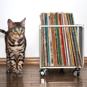 Premium Quality Wide Vinyl Record Crate "Twins." - Atelier Article