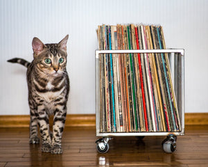 Premium Quality Hand-Welded Vinyl Record Storage Crate "TWINS". - Atelier Article