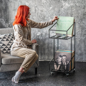 Vinyl Record Storage, Double Deck Shopping Cart Style Mobile LP Record Storage. - Atelier Article