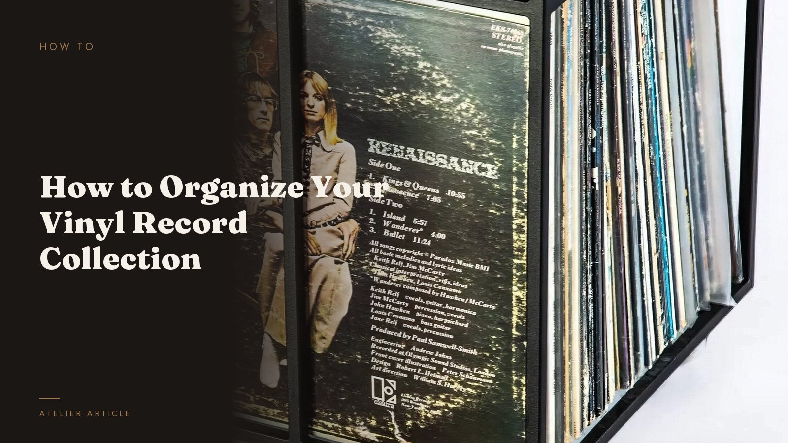 How to Organize Your Vinyl Record Collection — product