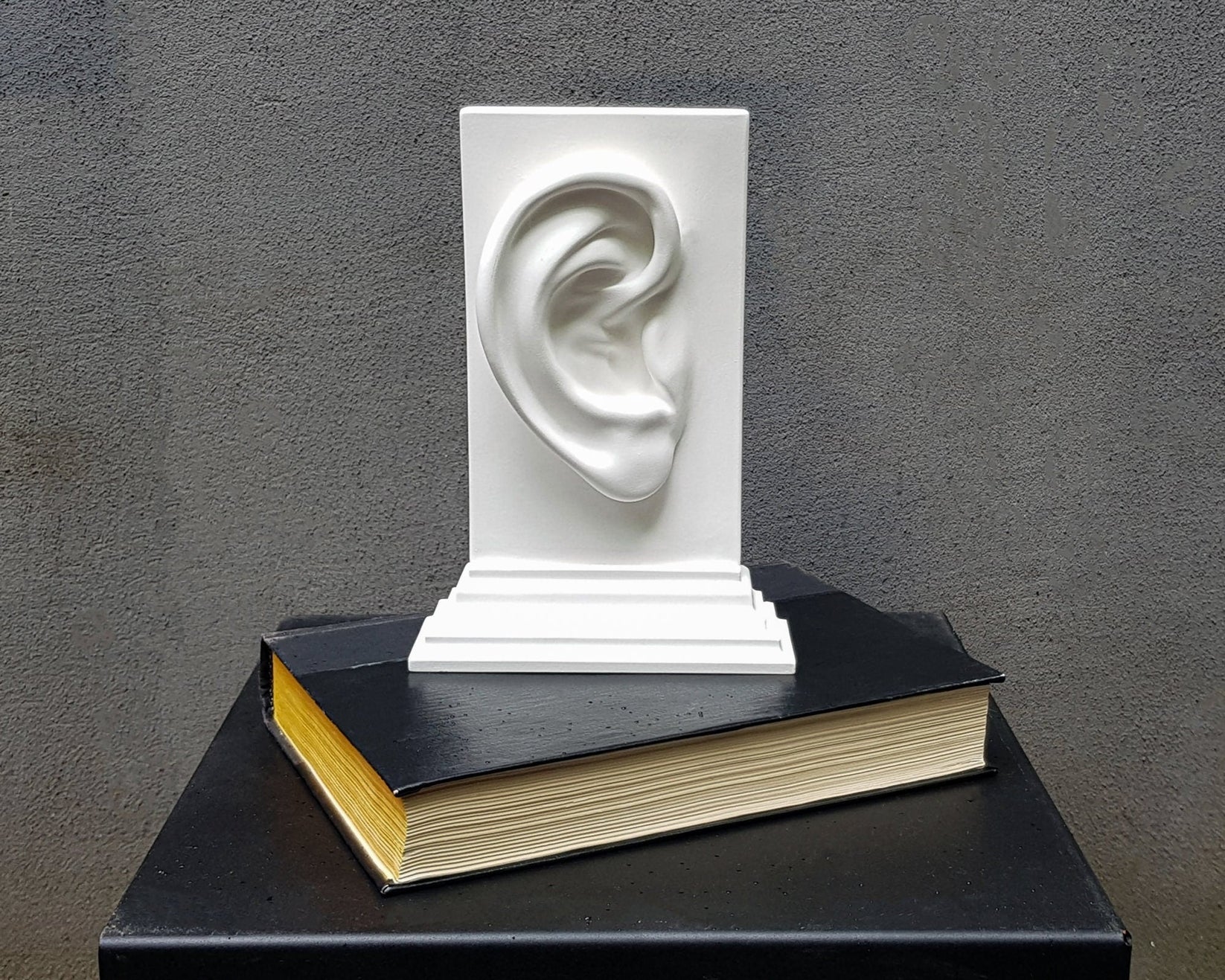 Anatomy Bookends "Ears". - Atelier Article
