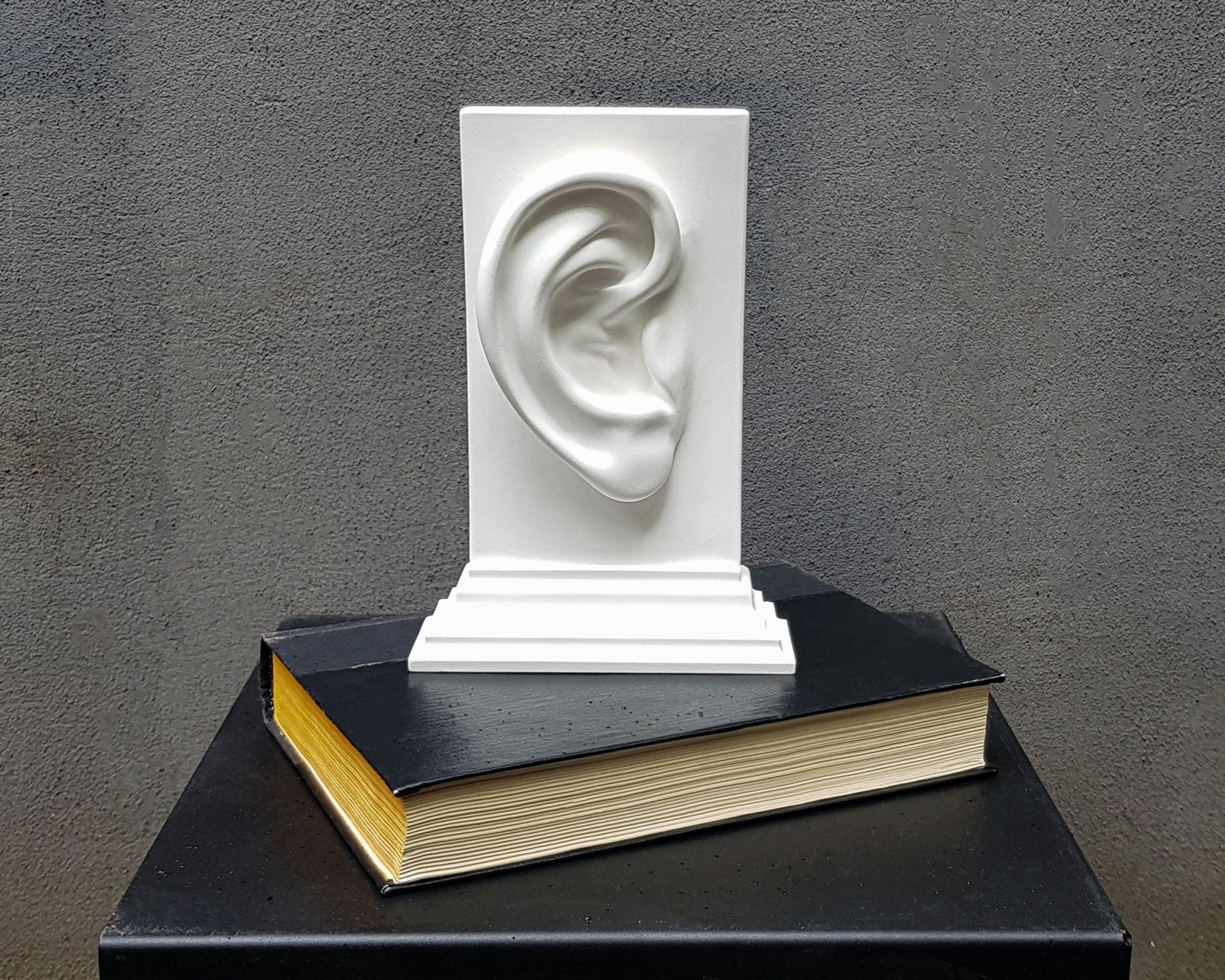 Anatomy Bookends "Ears". - Atelier Article