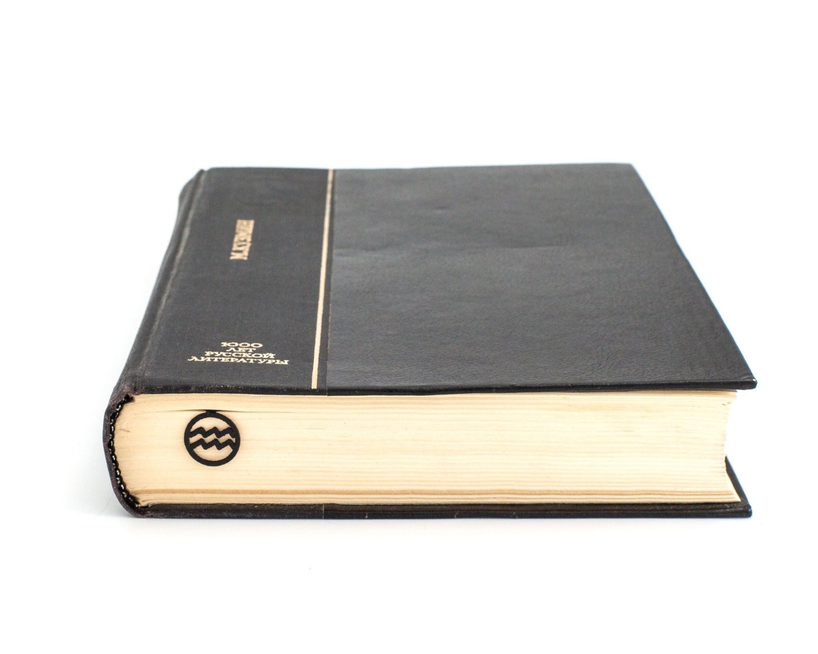 Aquarius metal bookmark in a closed book, only its top showing above the pages