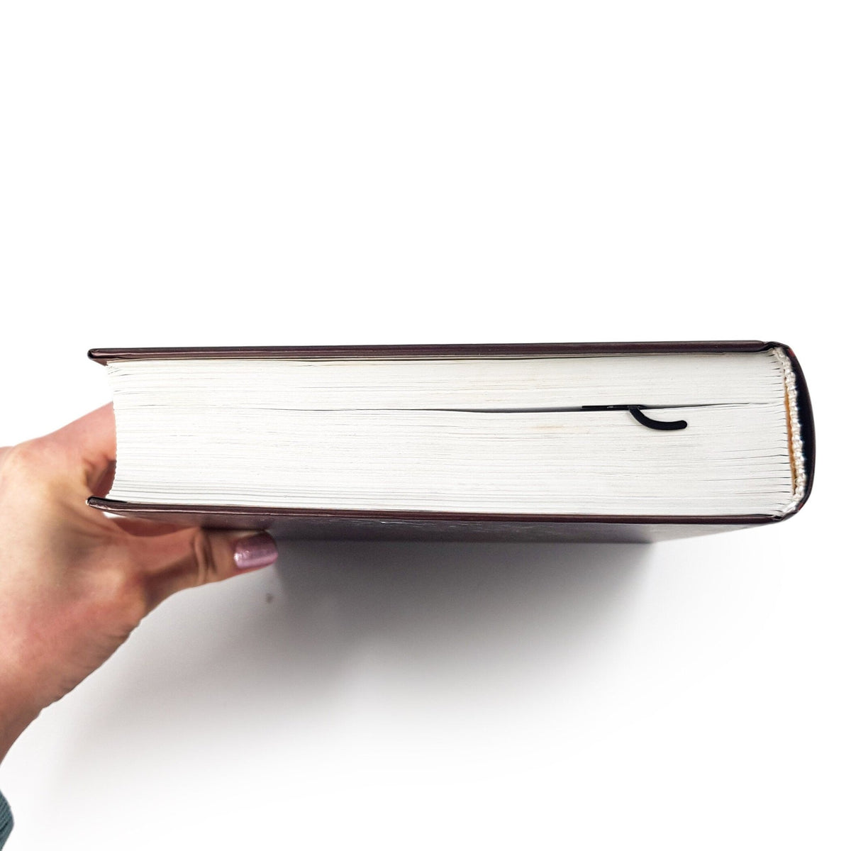 Dachshund My Long Time Friend metal bookmark seen from the edge of a closed book
