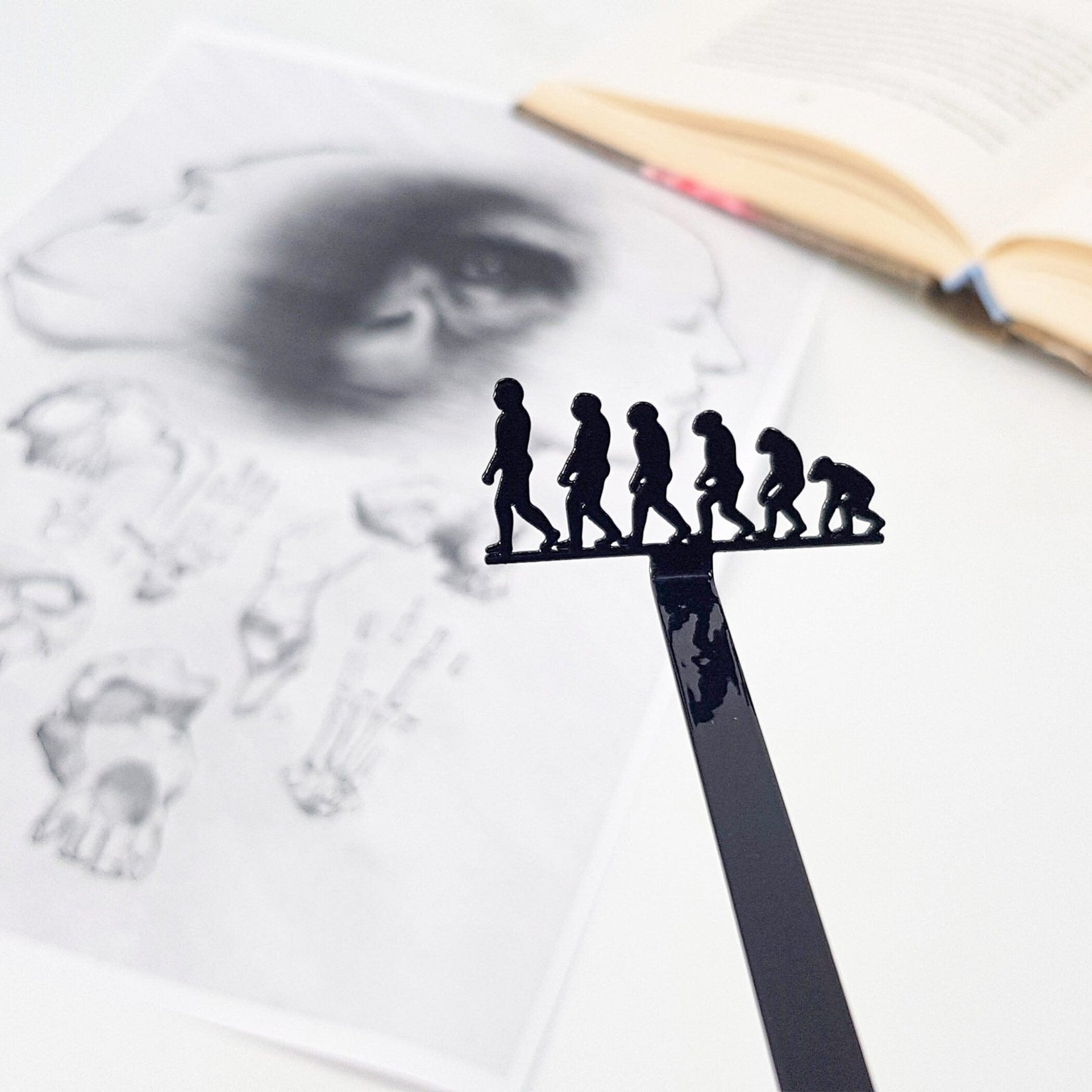 Evolution metal bookmark placed on a colour illustration