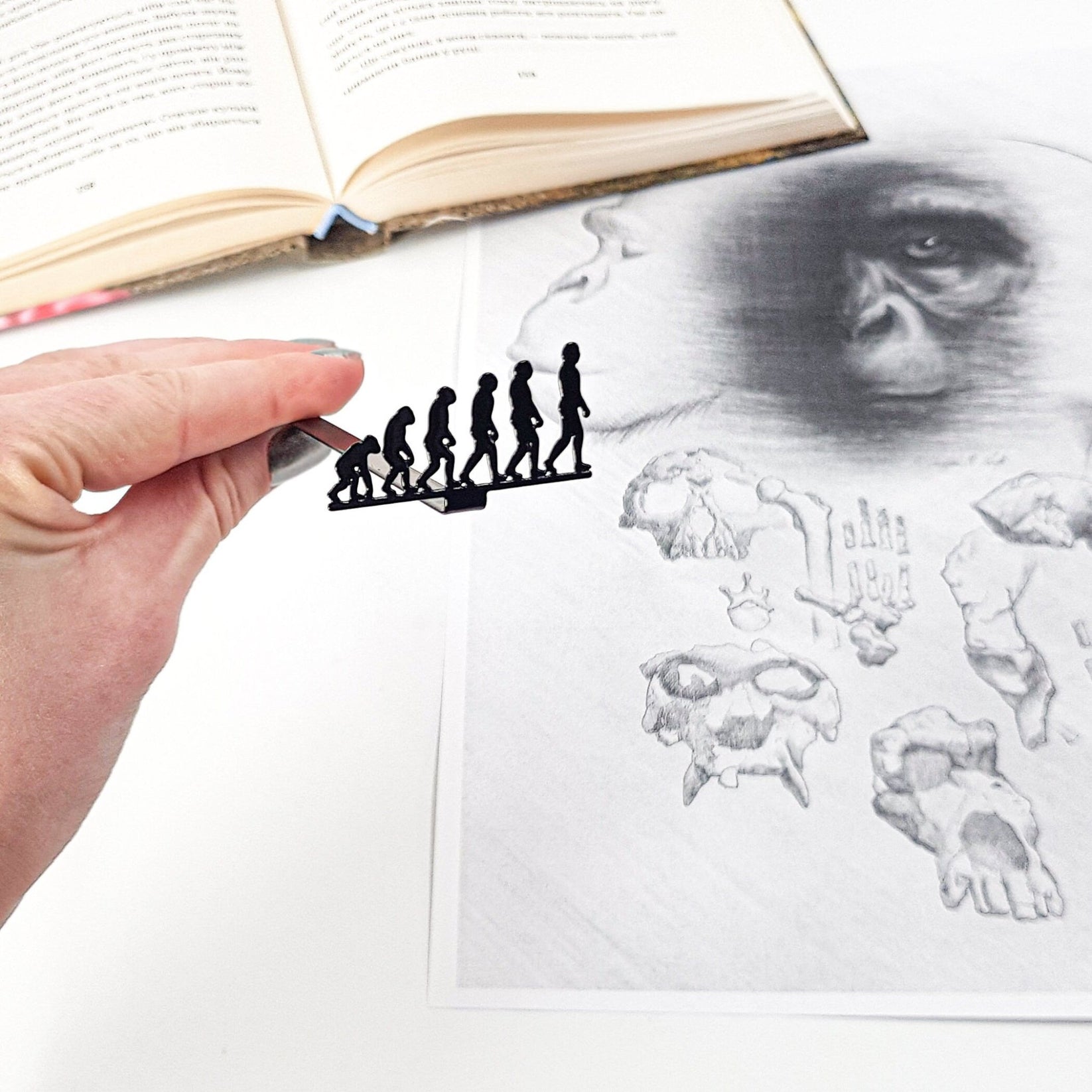 Evolution metal bookmark marking a page in an illustrated book