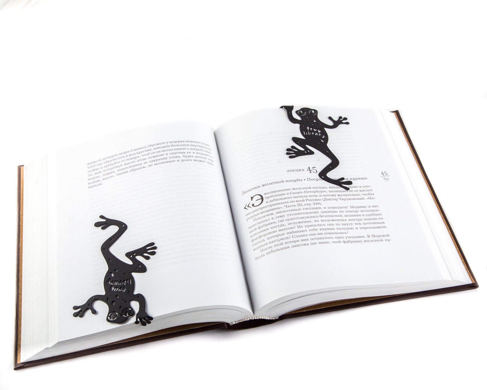 Frog Library metal bookmark set into the gutter of an open book