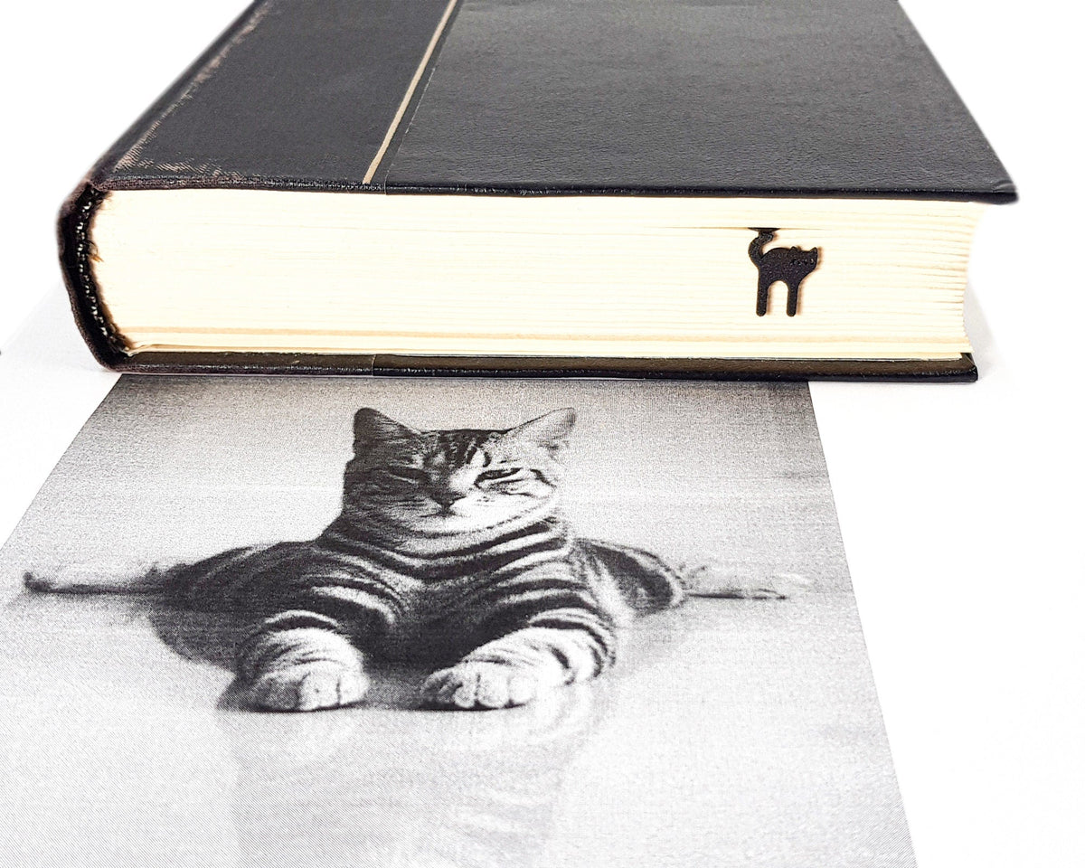 Kitty Grace metal bookmark marking a page in an illustrated book