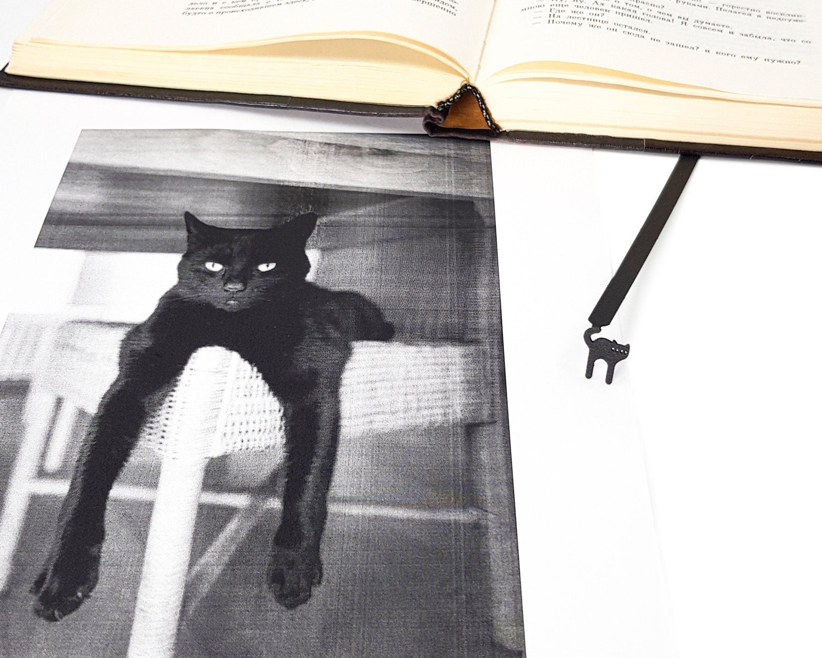 Kitty Grace metal bookmark placed on a colour illustration