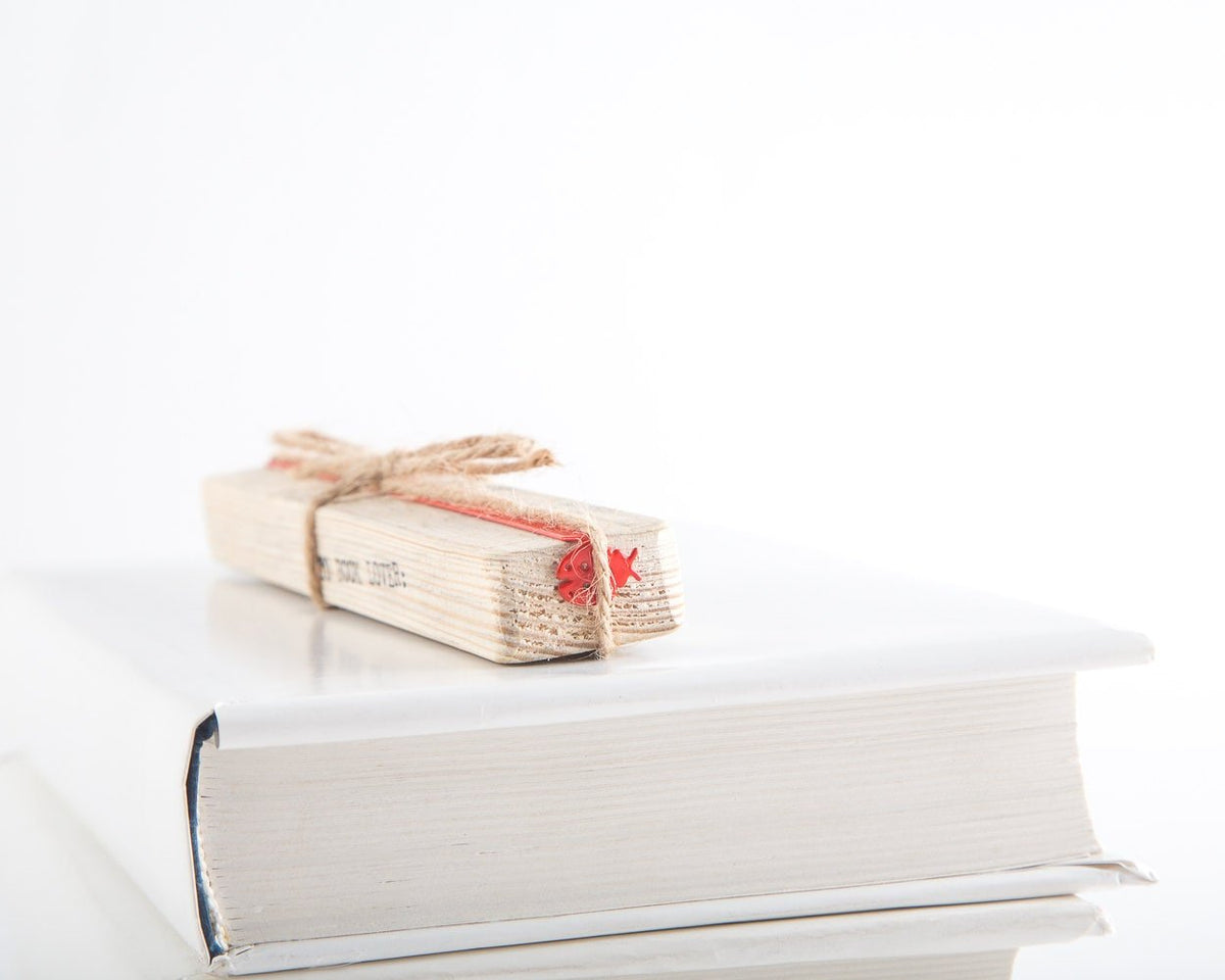 Ladybird metal bookmark in red packed with kraft paper and twine as a gift