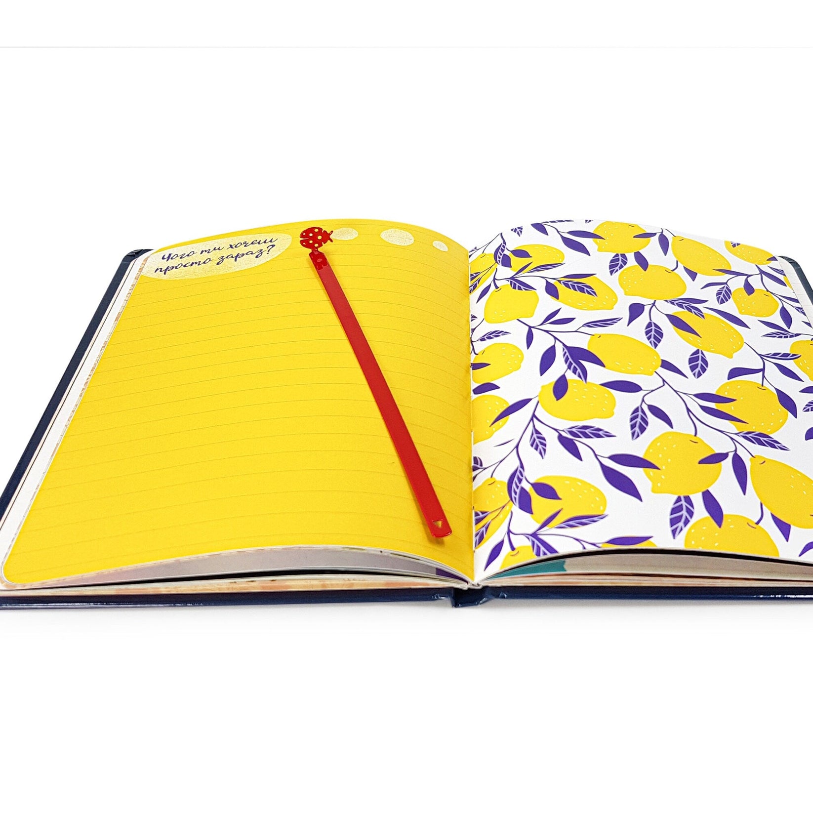 Ladybird metal bookmark in red marking a page in a notebook