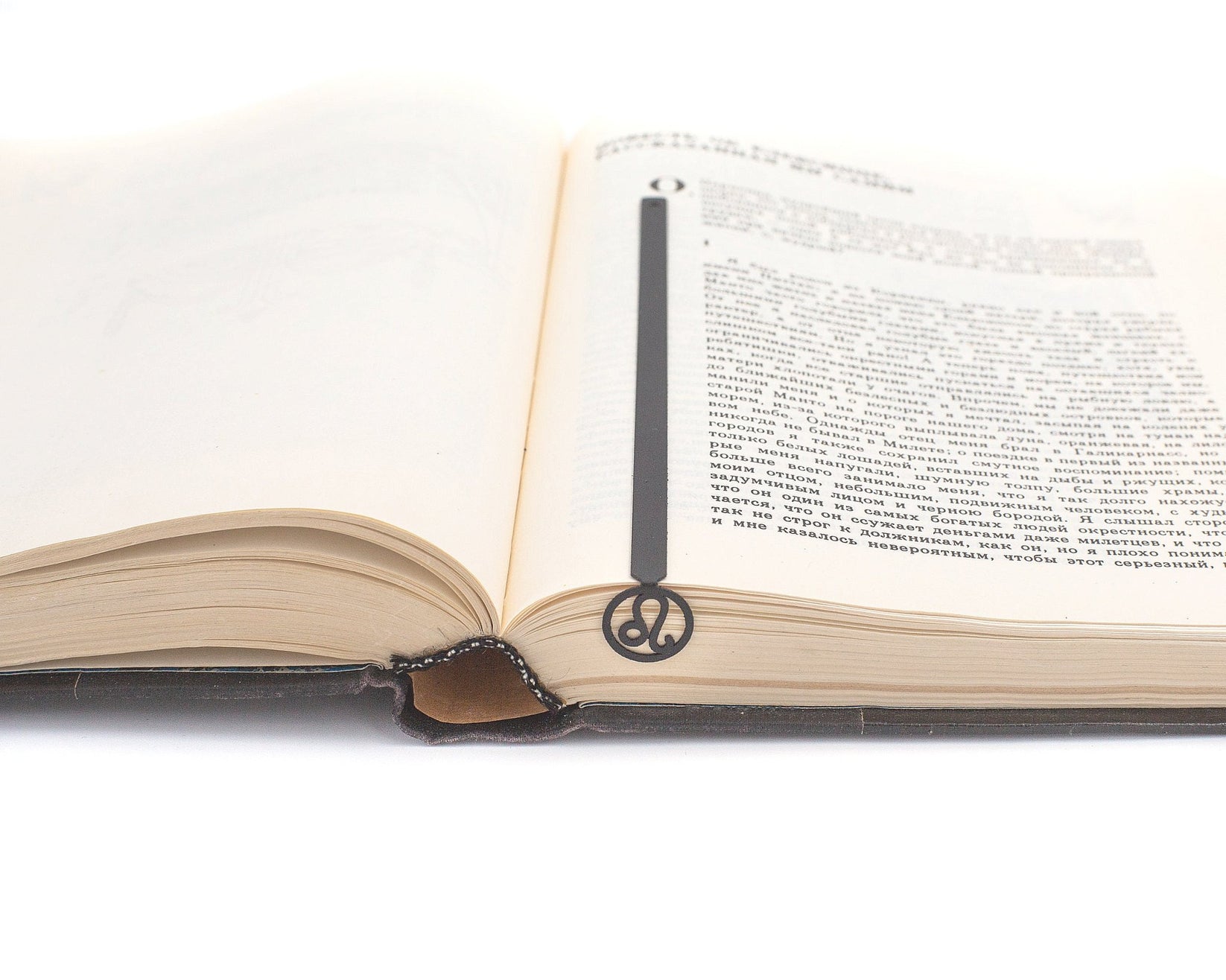 Leo metal bookmark resting on the pages of an open book