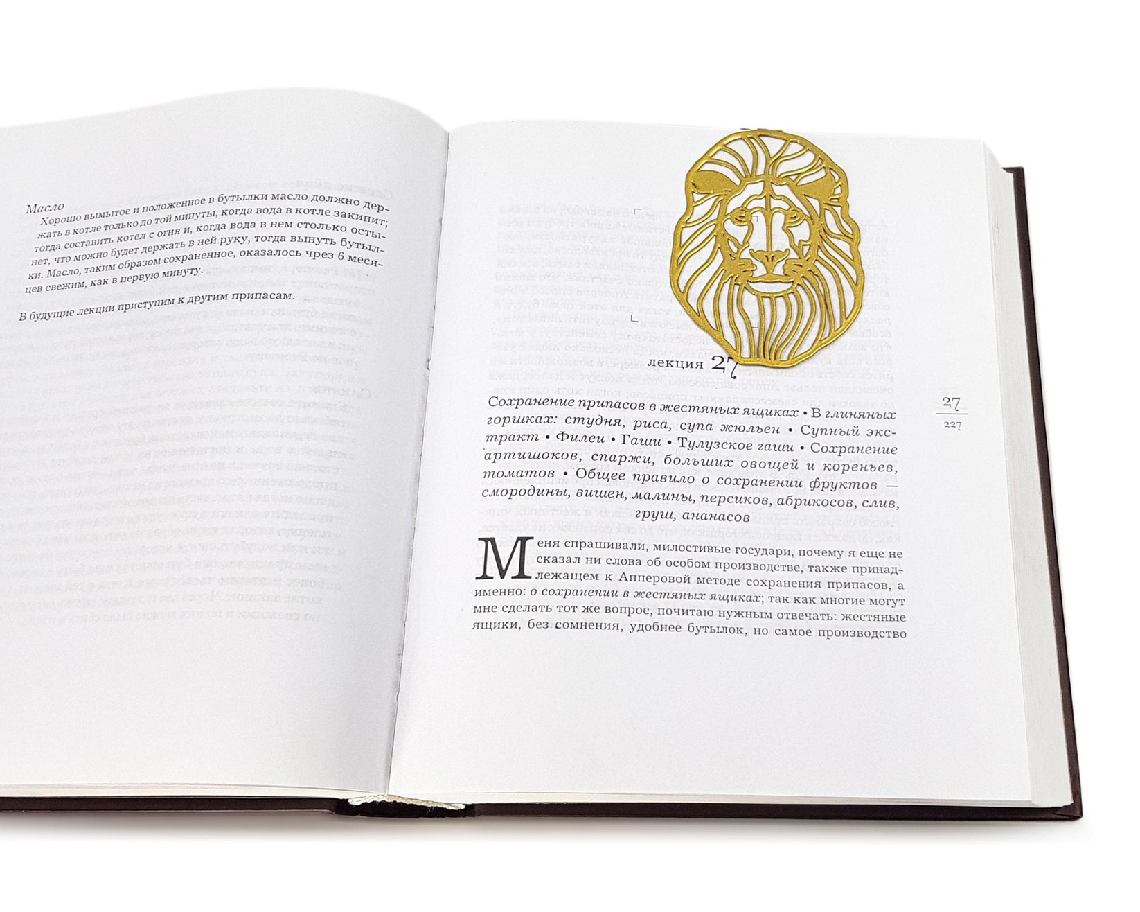 Lion Head metal bookmark in gold marking a page in an open book