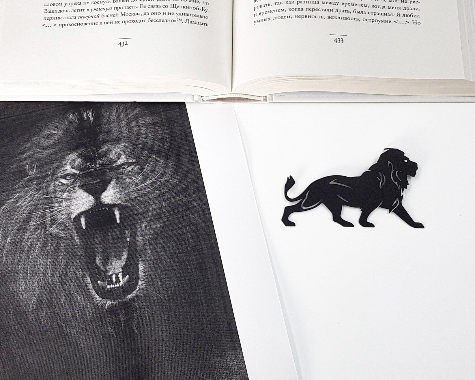 Lion, The King of Animals metal bookmark marking a page in an illustrated book