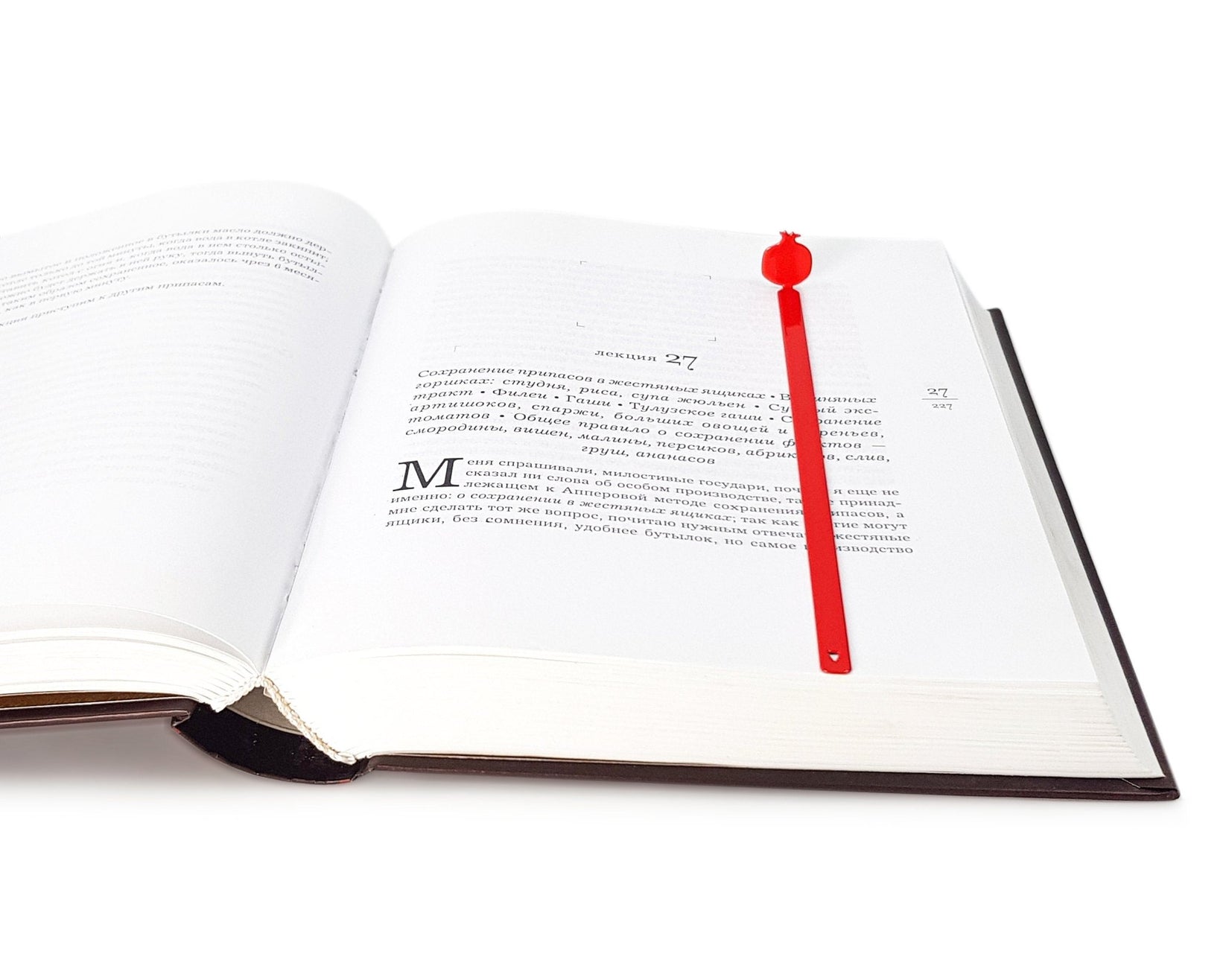 Pomegranate metal bookmark in red marking a page in an open book