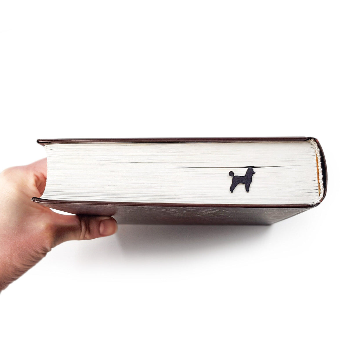 Poodle metal bookmark held in a hand above an open book