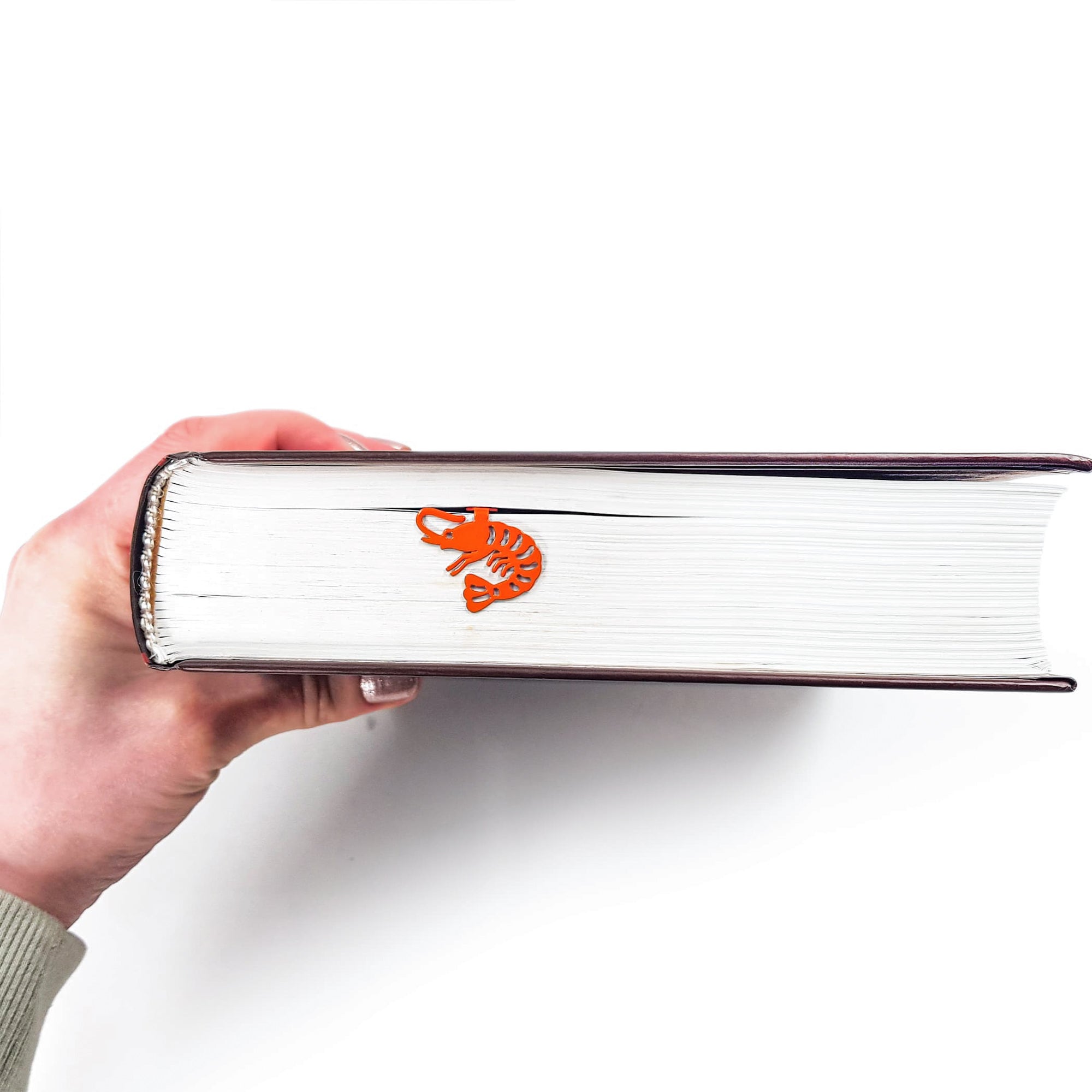 Bookmark Shrimp - Atelier Article