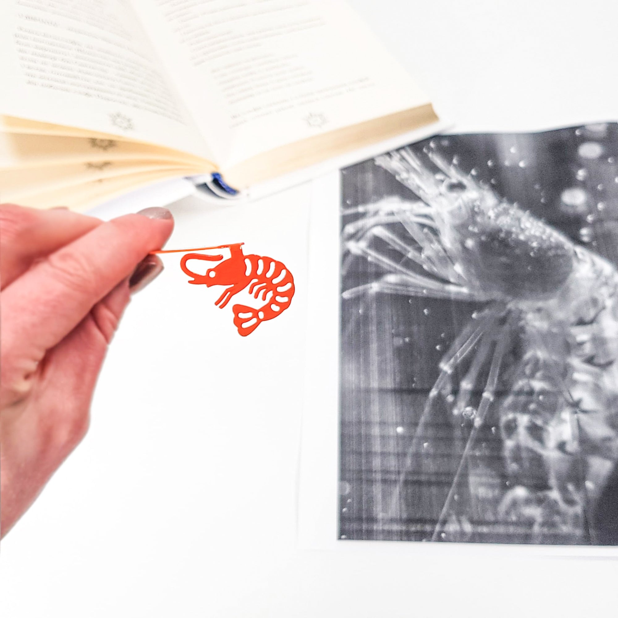 Bookmark Shrimp - Atelier Article