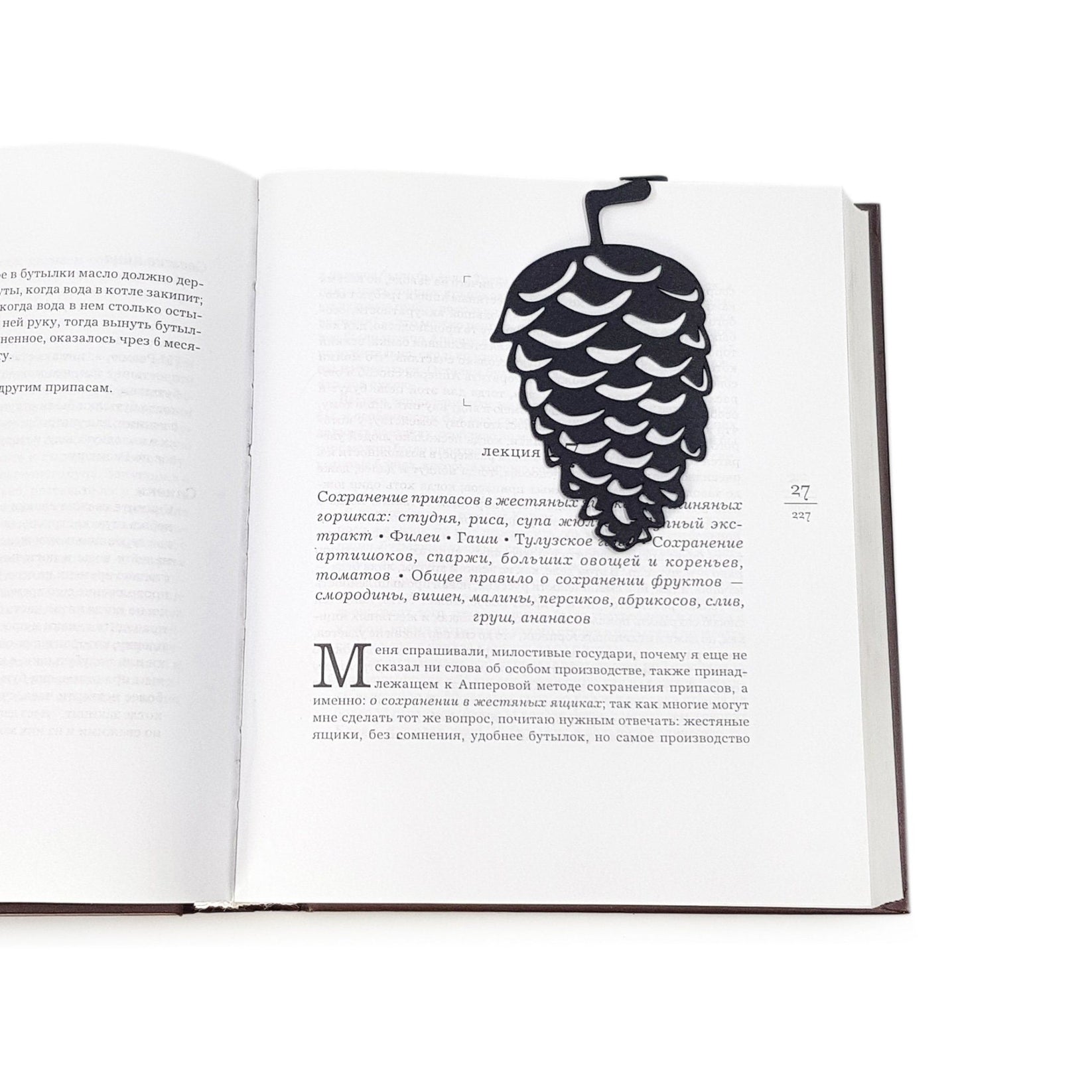 Squirrel and a Pinecone metal bookmark marking a page in an open book