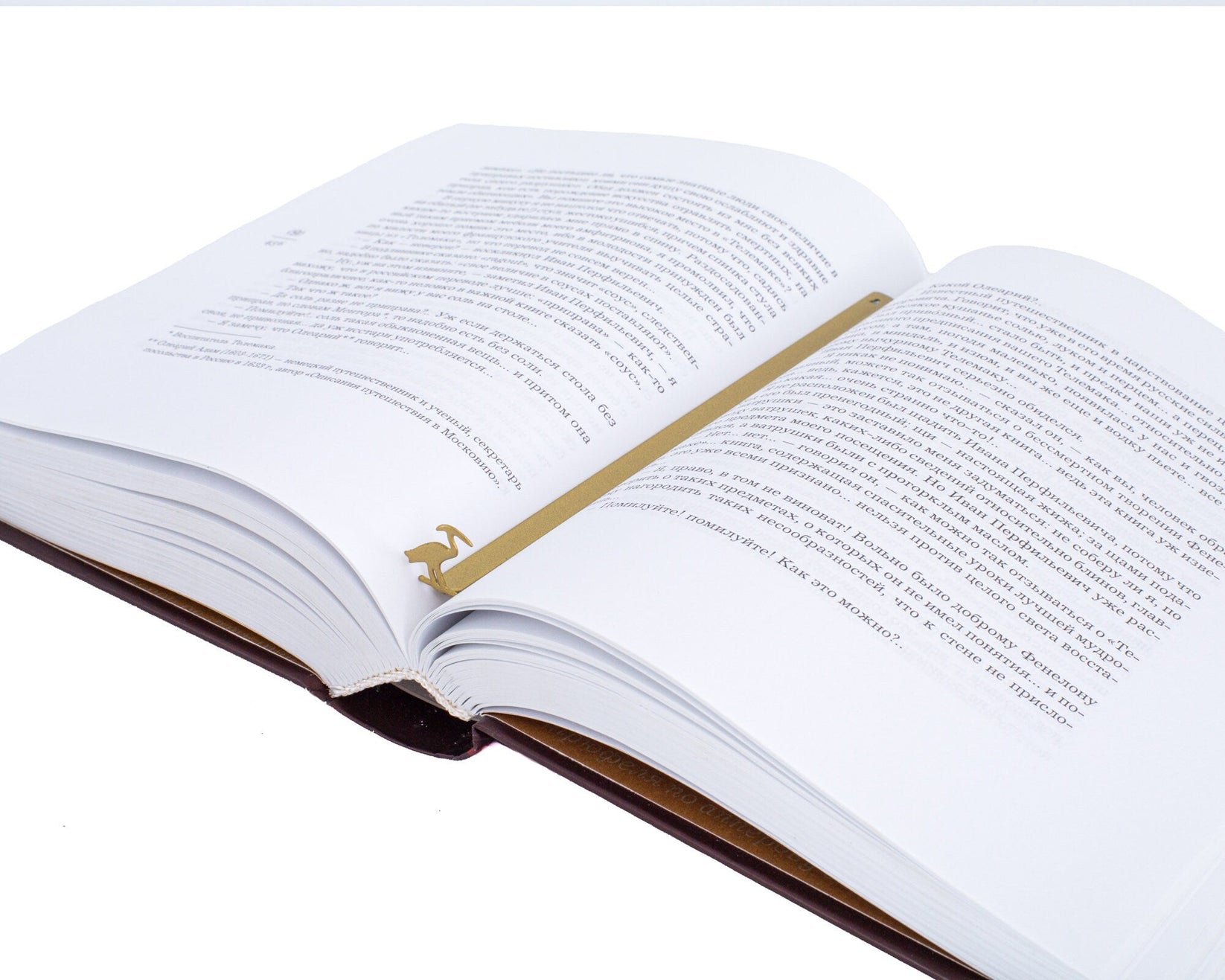 The Sacred Ibis metal bookmark in gold resting on the pages of an open book