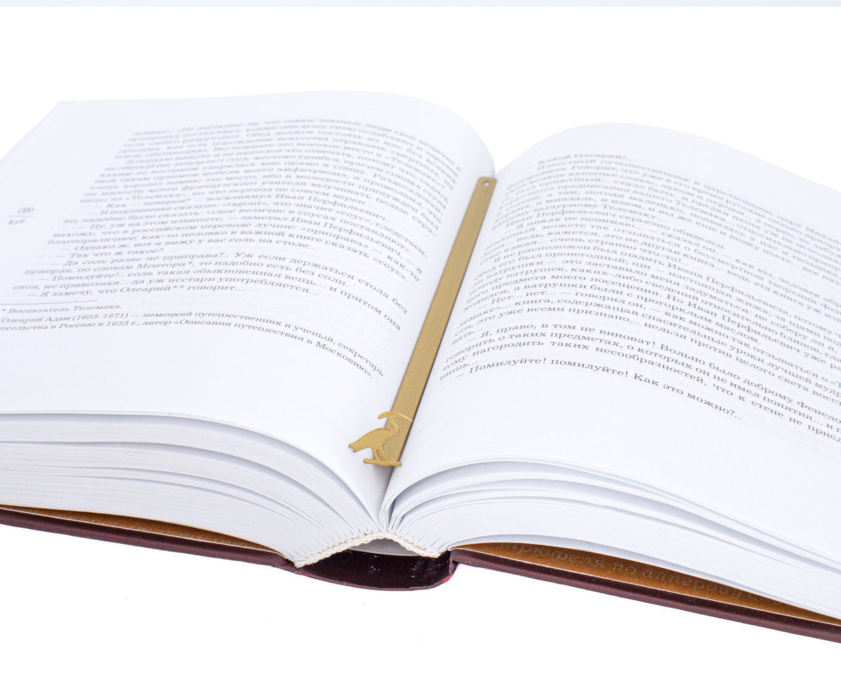 The Sacred Ibis metal bookmark in gold lying across the pages of an open book