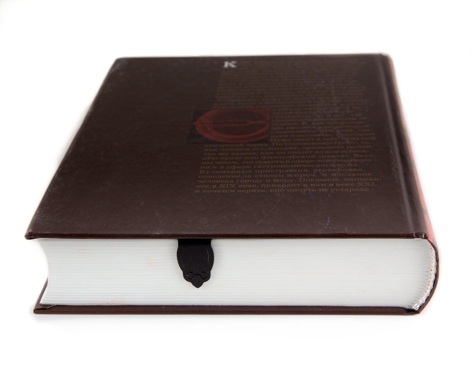 Turtle metal bookmark in a closed book, only its top showing above the pages