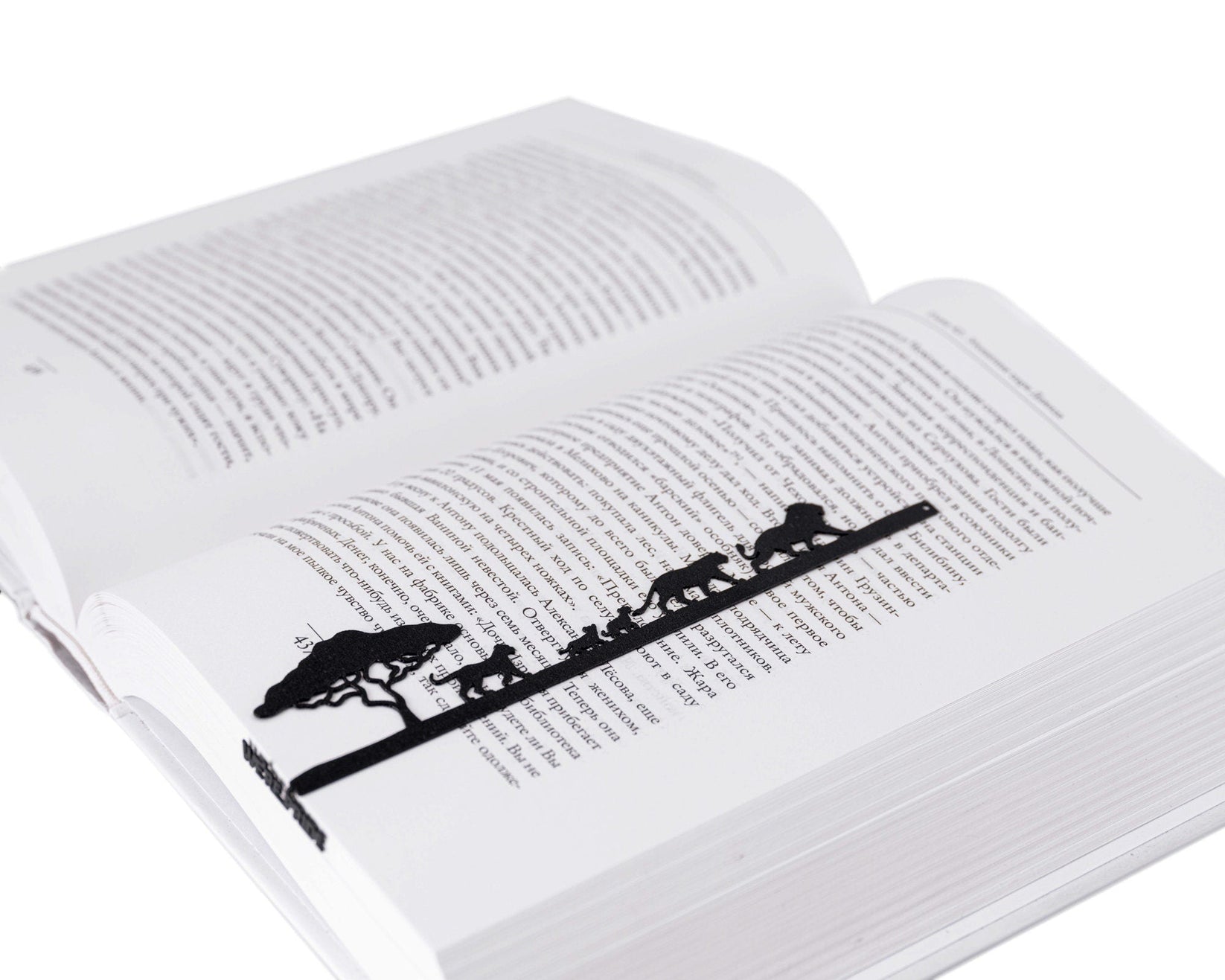 We're a Pride metal bookmark set into the gutter of an open book