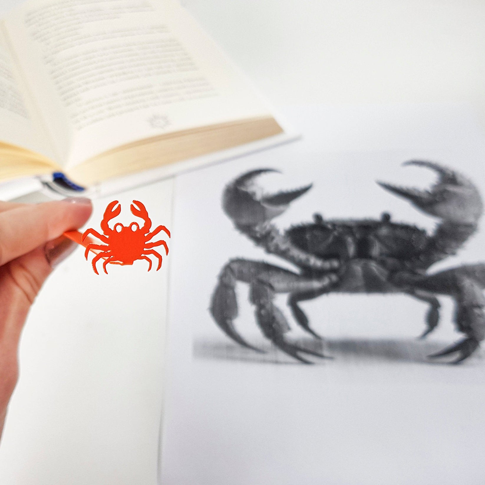 Crab metal bookmark in red marking a page in an illustrated book