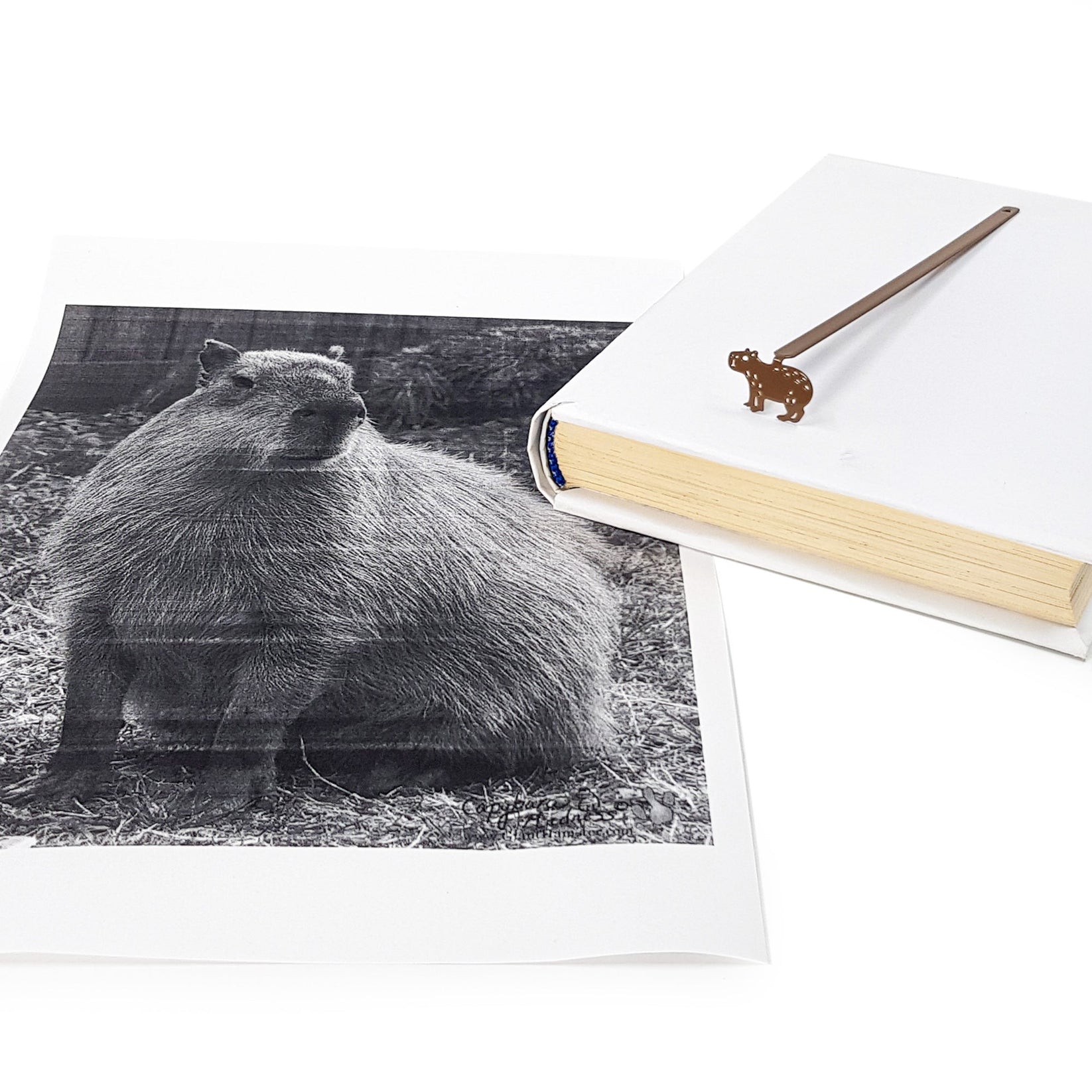 Capybara metal bookmark placed on a colour illustration