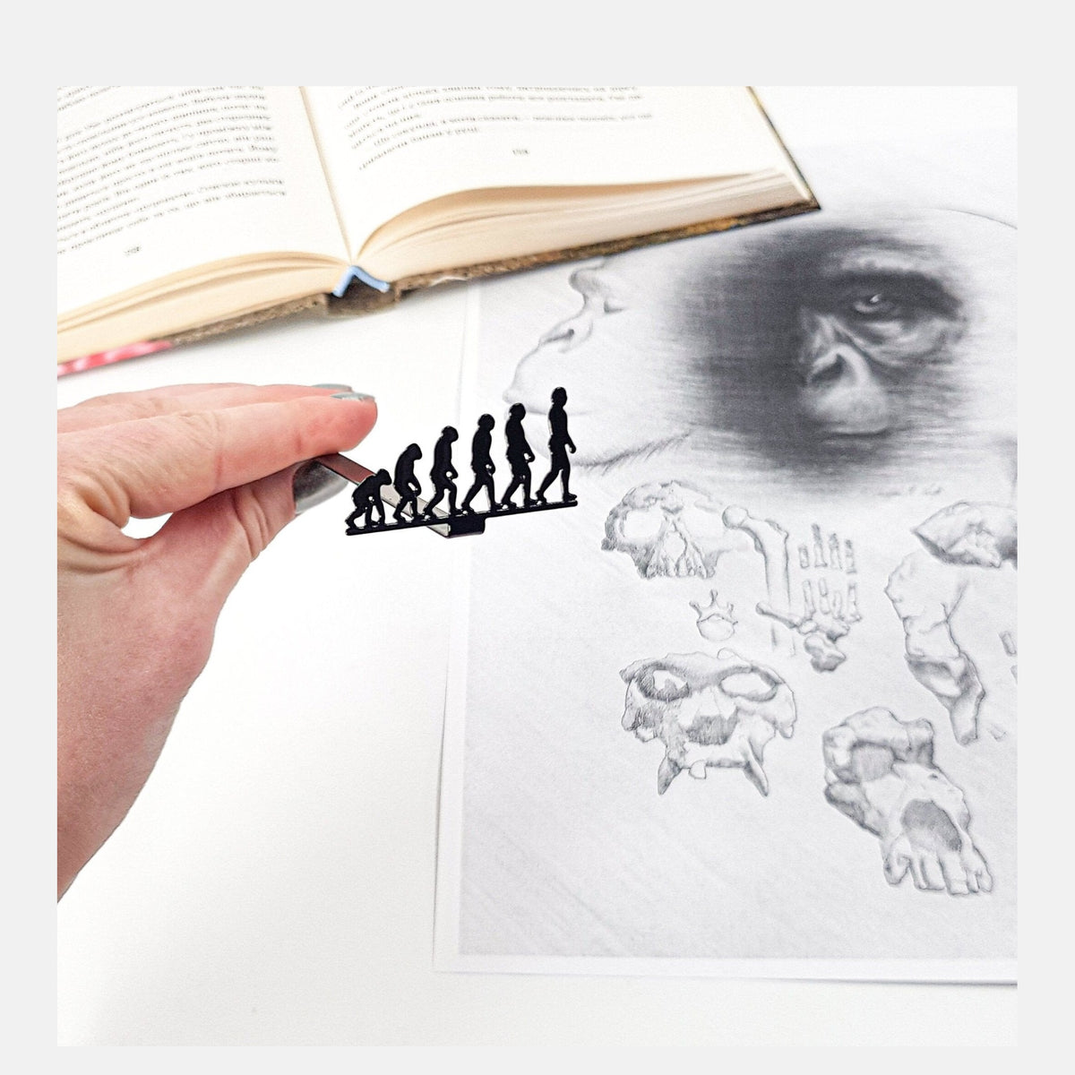 Evolution metal bookmark marking a page in an illustrated book