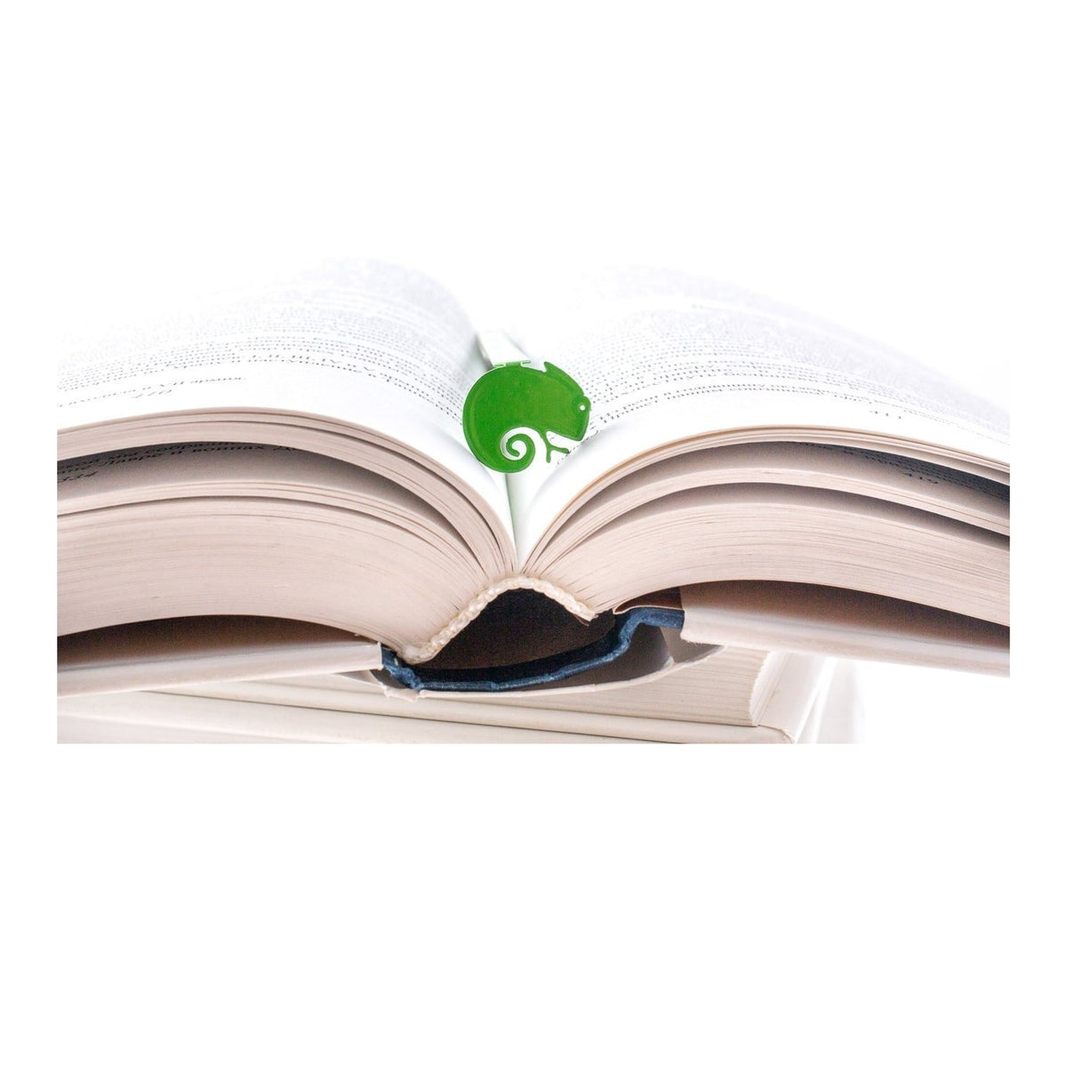 Green Lizard metal bookmark in green resting on the pages of an open book