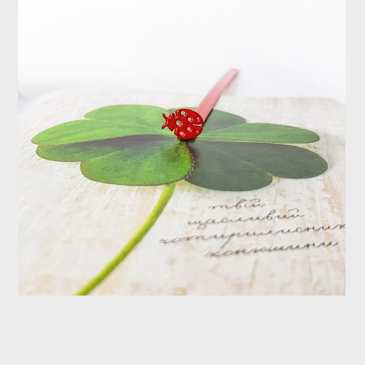 Ladybird metal bookmark in red on a coloured background