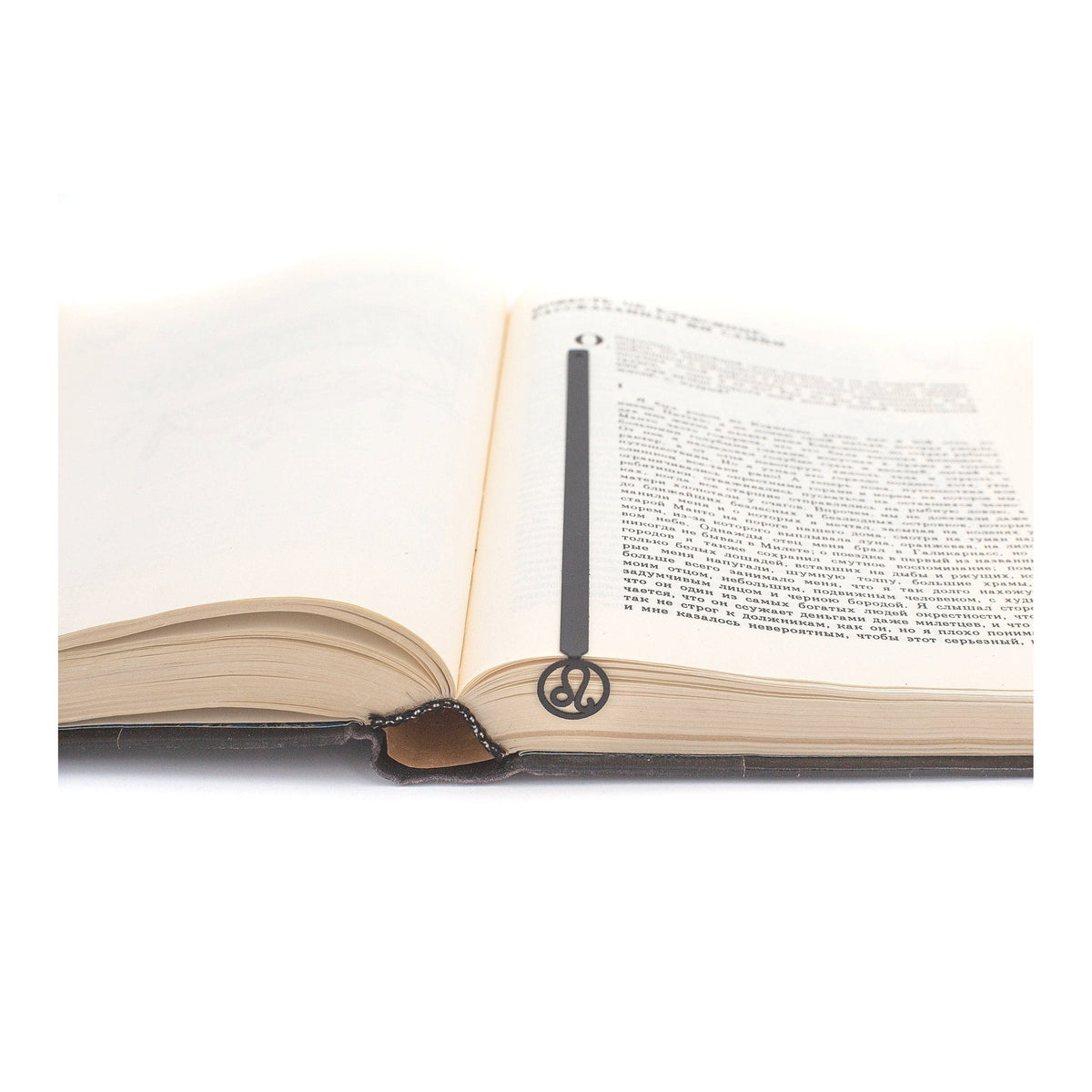 Leo metal bookmark resting on the pages of an open book
