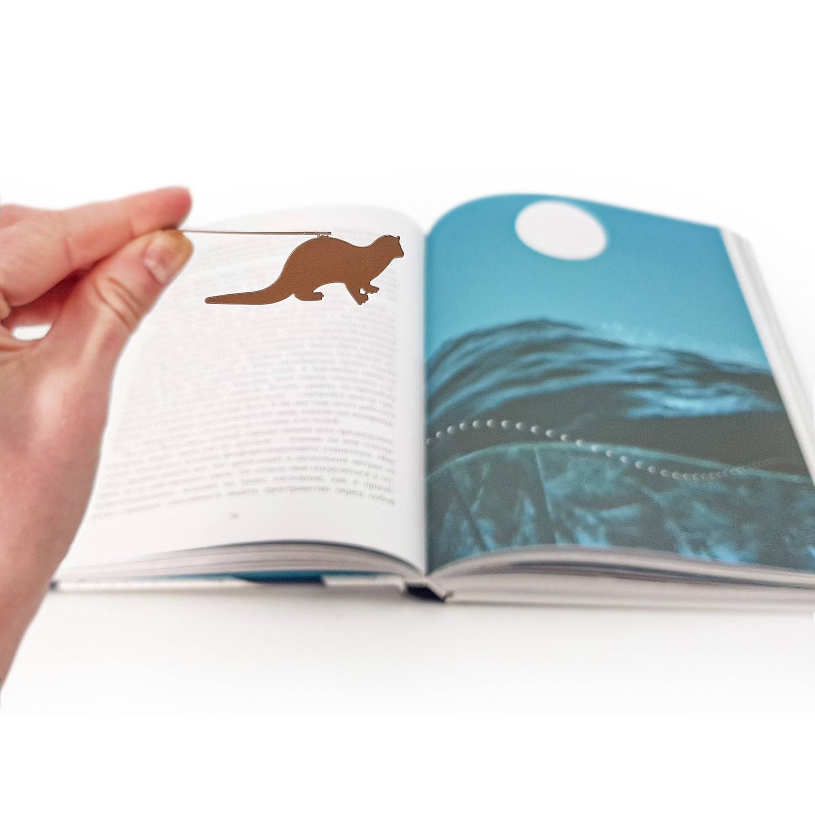 Otter bookmark on an illustrated page