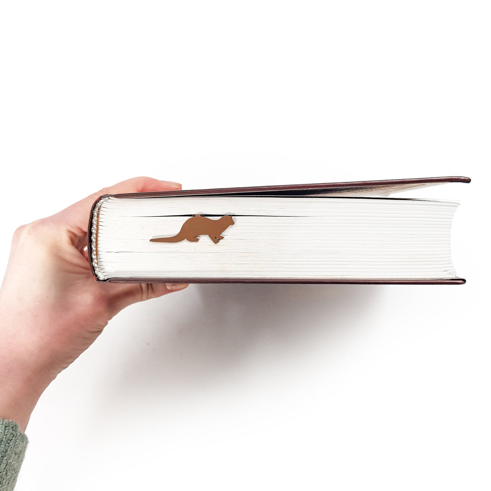 Otter bookmark held up beside an open book